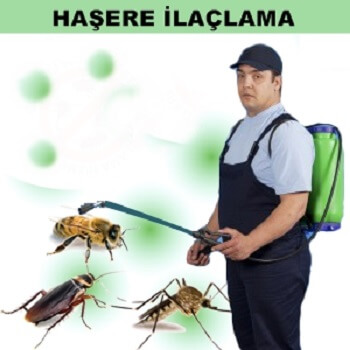Araban Böcek İlaçlama